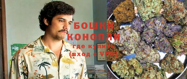 прущие крисы Вяземский