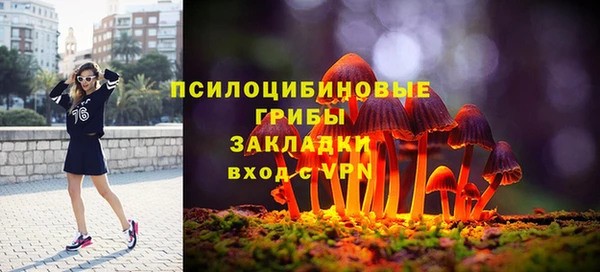 соль ск Вязьма