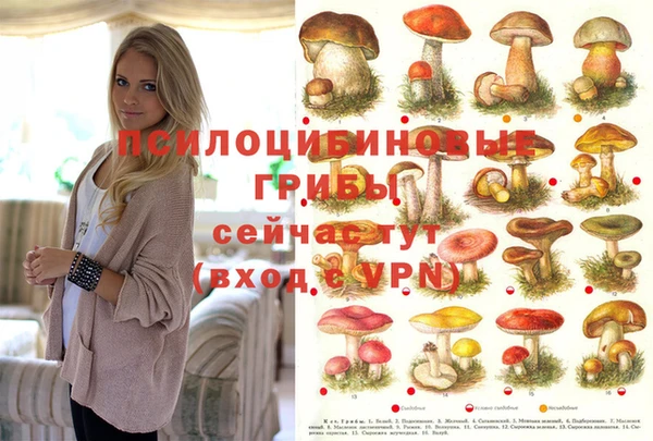 прущие крисы Вяземский